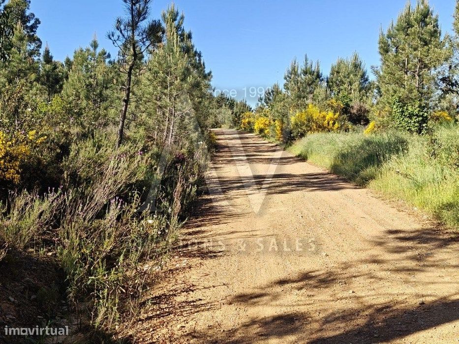 Terrenos Rústicos - Silvares - Fundão - | Venda Por Negociação Part...