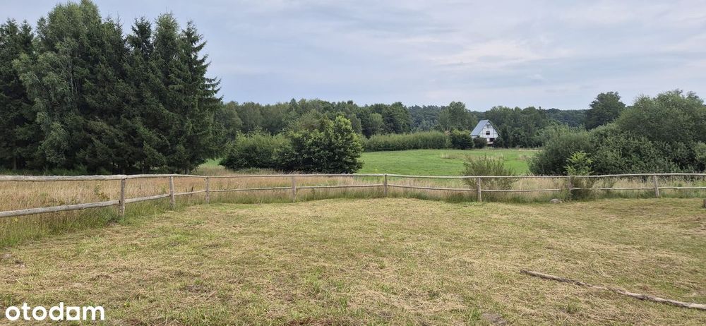 Wolnostojący dom 107 m²