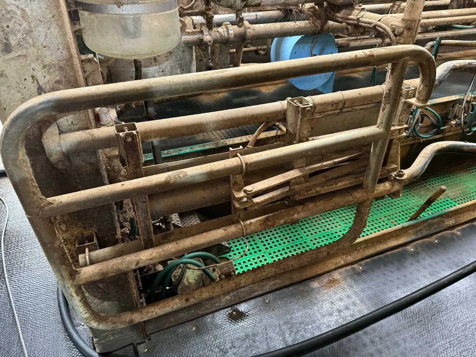 Hala udojowa Westfalia GEA 2x16 Swingover 50°