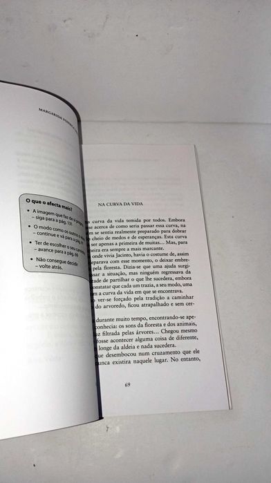 Brincar com coisas sérias - Margarida Fonseca Santos