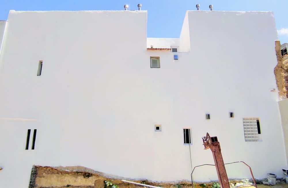 Pintor profissional .