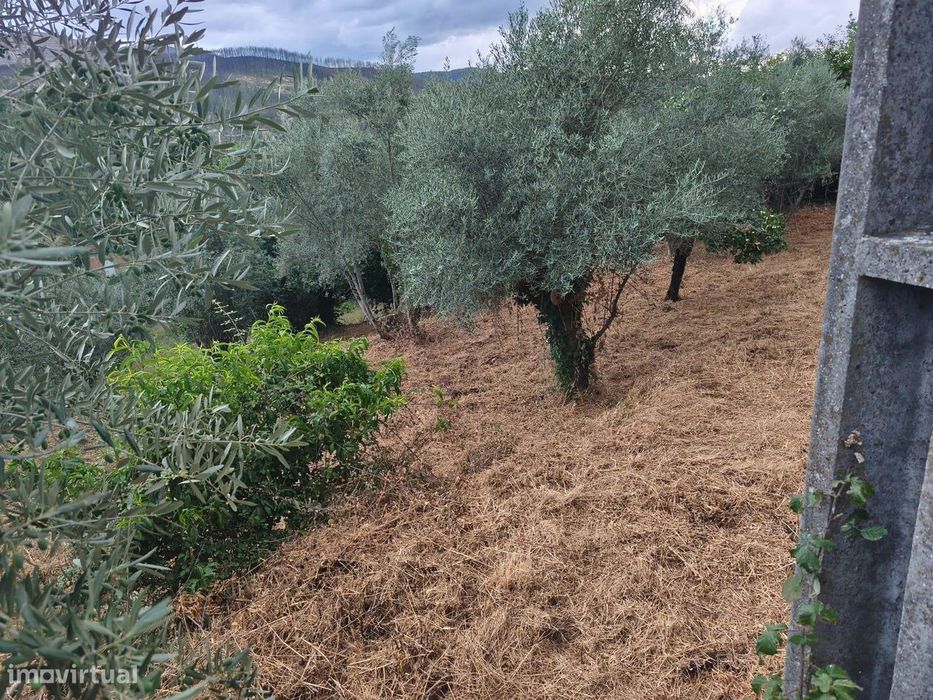 Terreno rustico