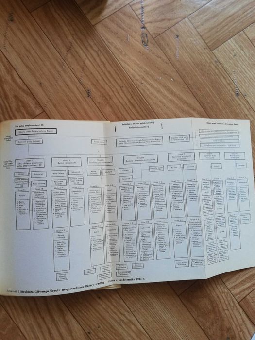 książka: ,,Służba bezpieczeństwa SS"