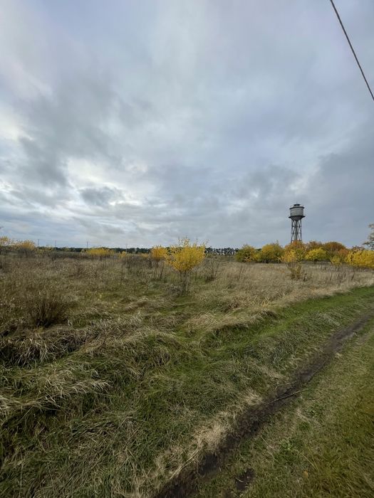 Земельна ділянка