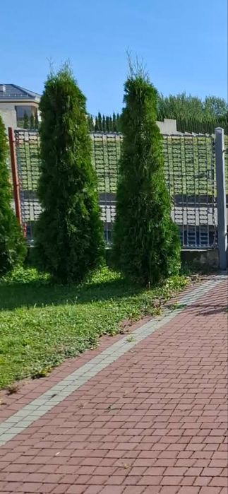 Przęsło ogrodzeniowe ocynk