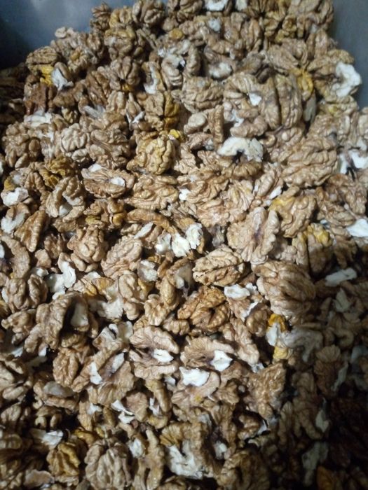 Горіх грецький,горіх волоський чищенні 2025 року