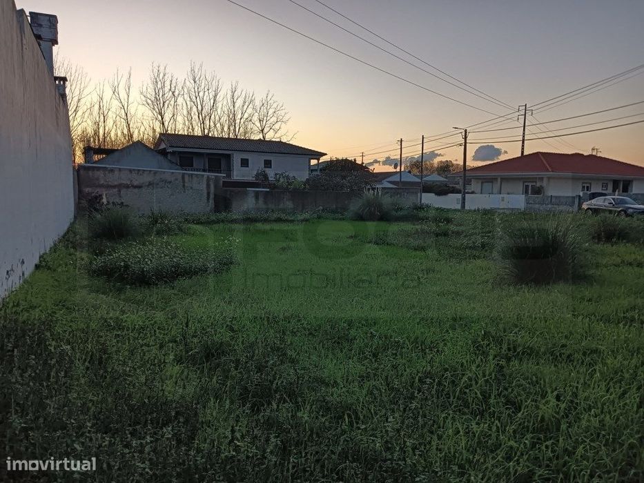 Terreno com 31m de frente para venda Bustos - Oliveira do Bairro