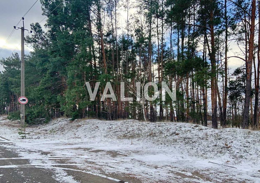 Продаж земельної ділянки 0,81 га Вишгородський р-н Лебедівка, без %