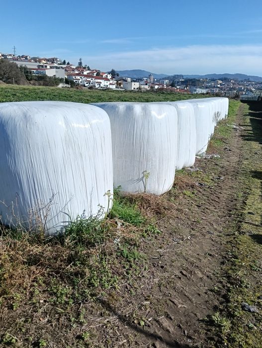 Vendo palha em rolos