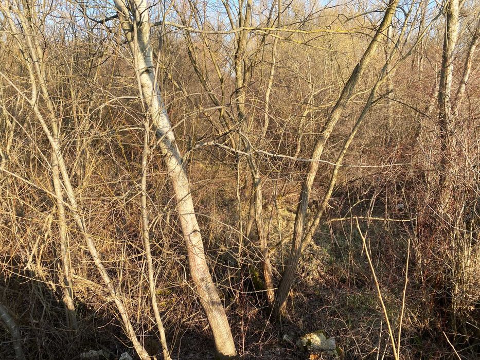 Продам земельну ділянку в Опришівцях(60)