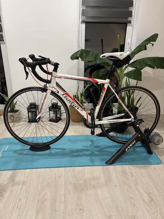 Rower szosowy Wilier Trestina