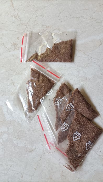 Naparstnica nasiona mix