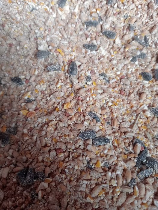 Pasza dla kur, karma kury 25 kg