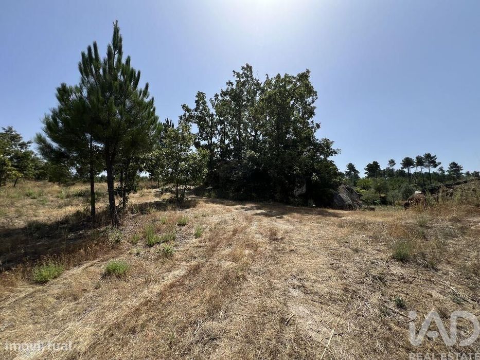 Terreno em Sernancelhe e Sarzeda de 44527,00 m2
