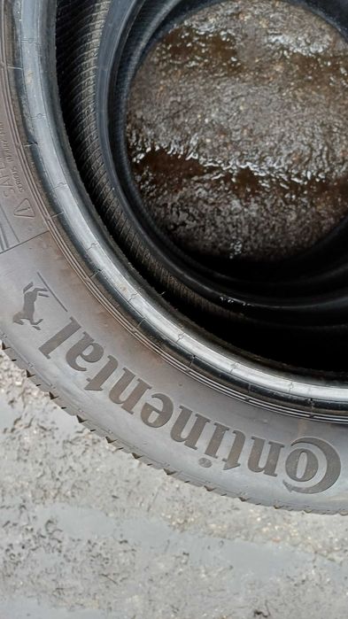 Continental AllSeasonContact 195/55 R16 87H 2023r