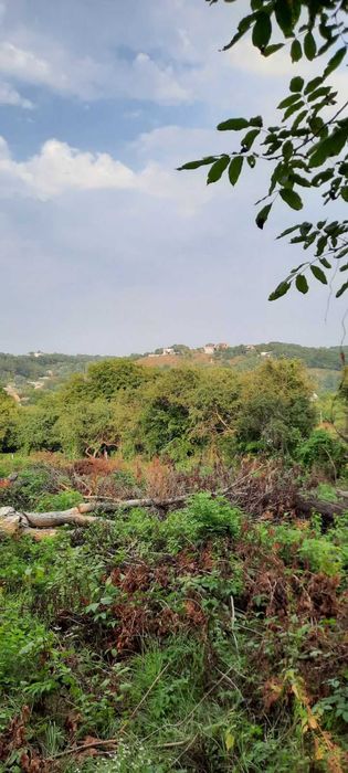 Ділянка під забудову 18 соток у мальовничому місці с.Лісники,  Стежки,