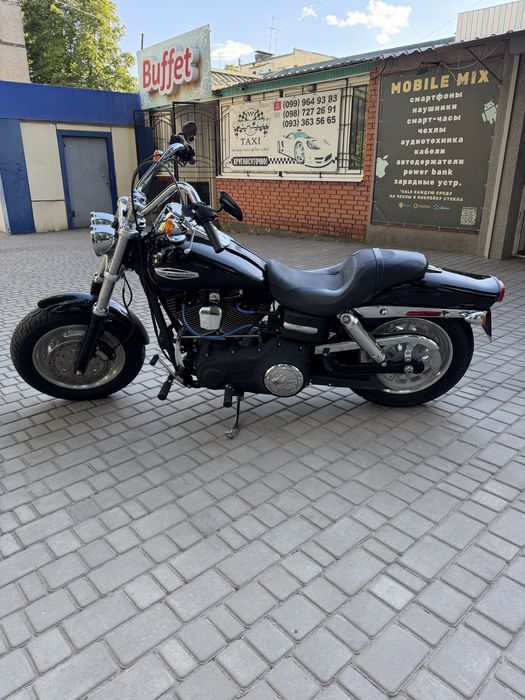 Harley davidson fat bob