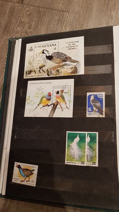 Znaczki Pocztowe cały świat głównie ptaki