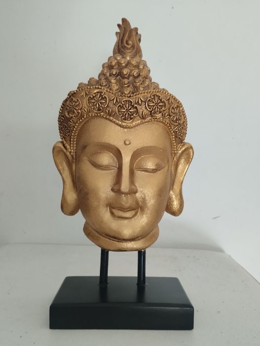 Cara de buda novo
