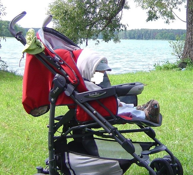 Wózek dziecięcy Inglesina Zippy 2 w 1