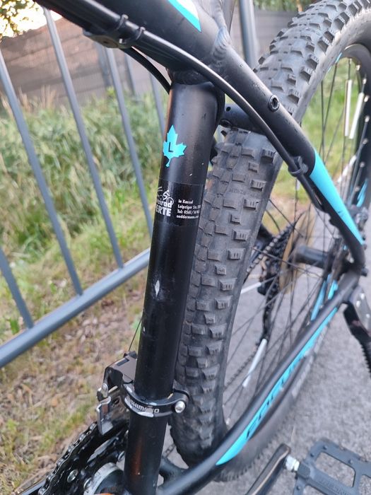 FOCUS Whistler Kola 29 rama L