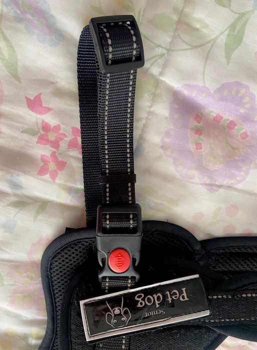 Conjunto de Peitoral e Trela Flexi para Cão Grande