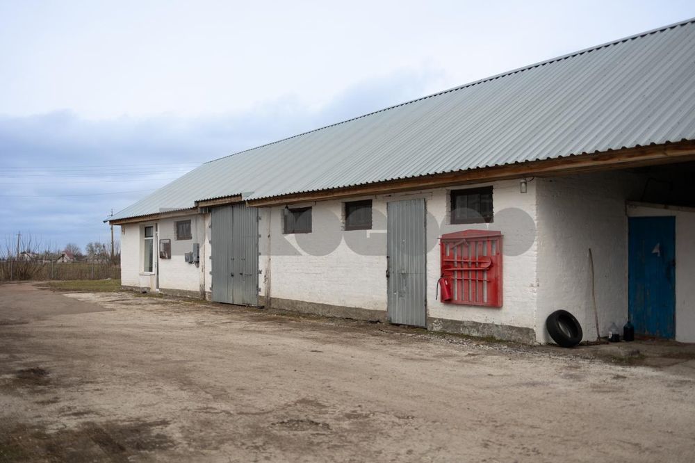 Продаж готового бізнесу, завод, Фастівський район