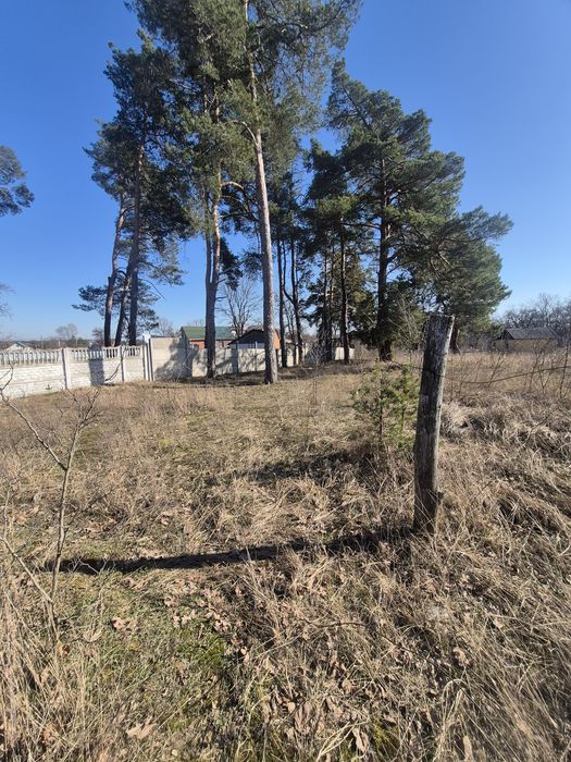 Продам -98сот- с.Хотянівка,під забудову,на ділянці ліс,електромережа.