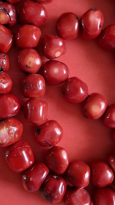 Korale z kamienia koral