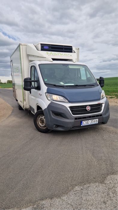 Fiat ducato Rama AL-KO chłodnia