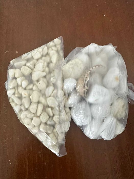 Pacote Aquário Completo