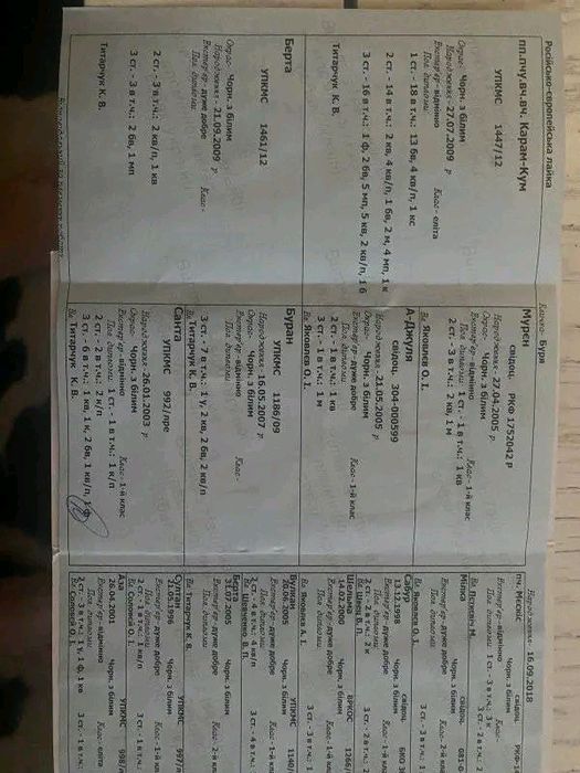 Продаються чистокровні цуцики лайки РЕЛ