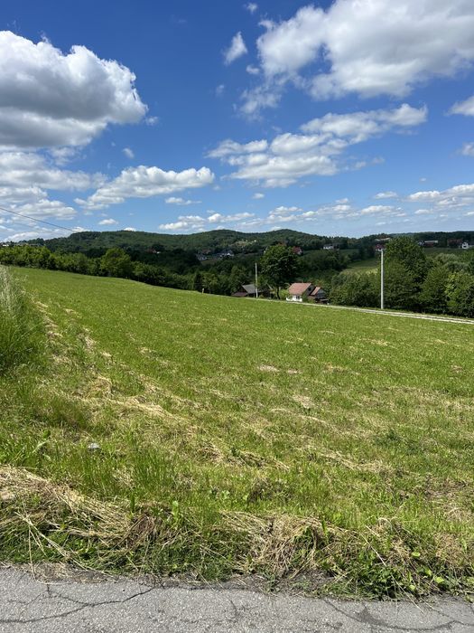 Sprzedam Działka Wola Nieszkowska 61 ar - View 2