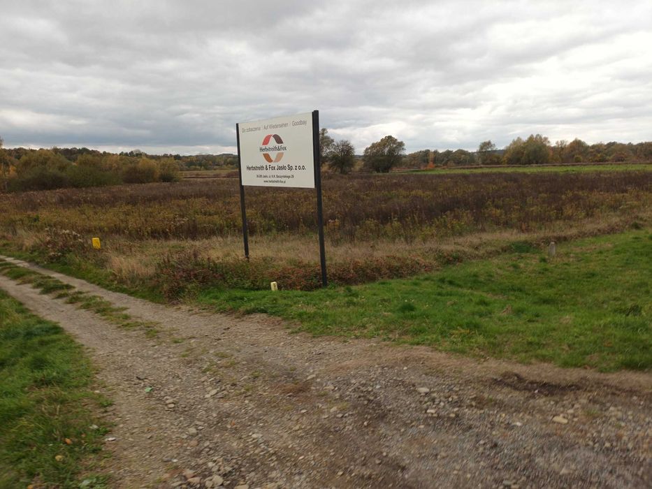 Działka inwestycyjna droga krajowa 73 Kowalowy • OLX.pl