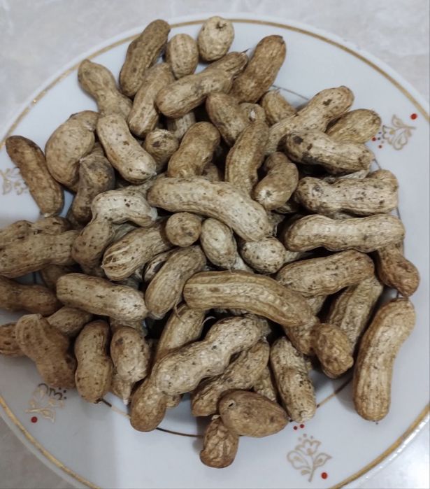 Арахіс земляний горіх сімена чищений домашній