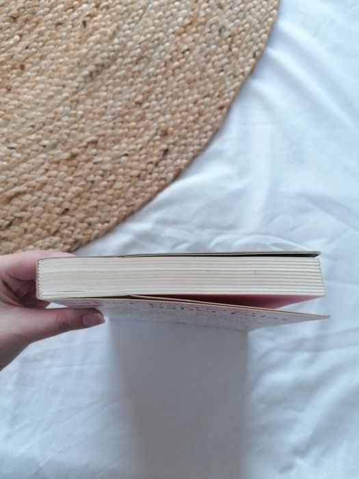 Livro Saber Escrever Saber Falar