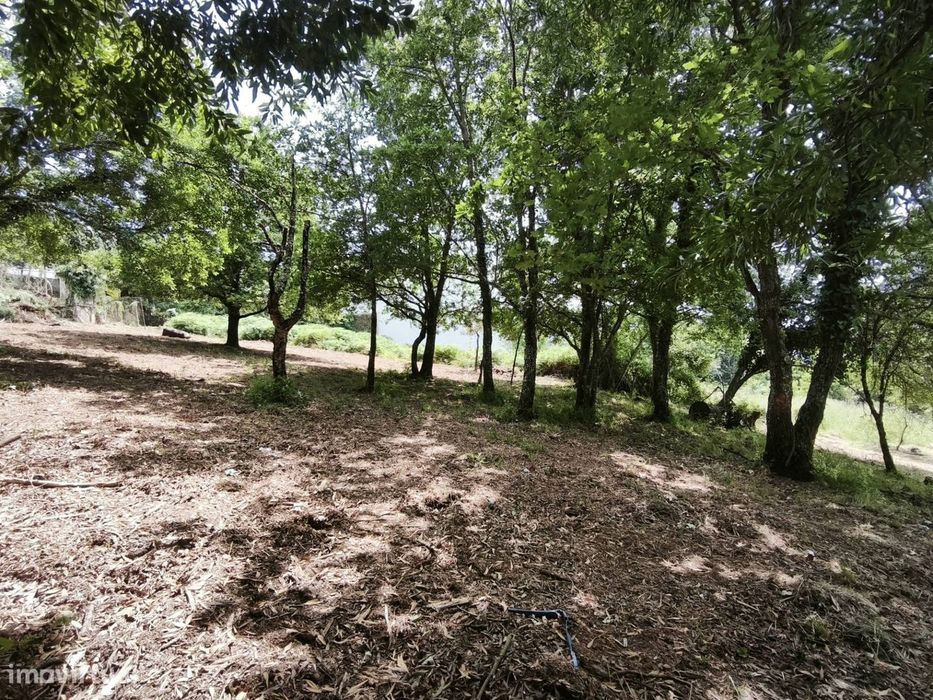 Moradia Isolada T3 Venda em Lousã e Vilarinho,Lousã