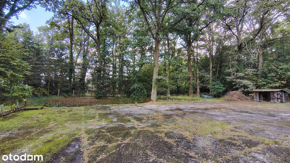 Wyjątkowa nieruchomość 464 m² | 37 arów | Ogromny potencjał biznesowy
