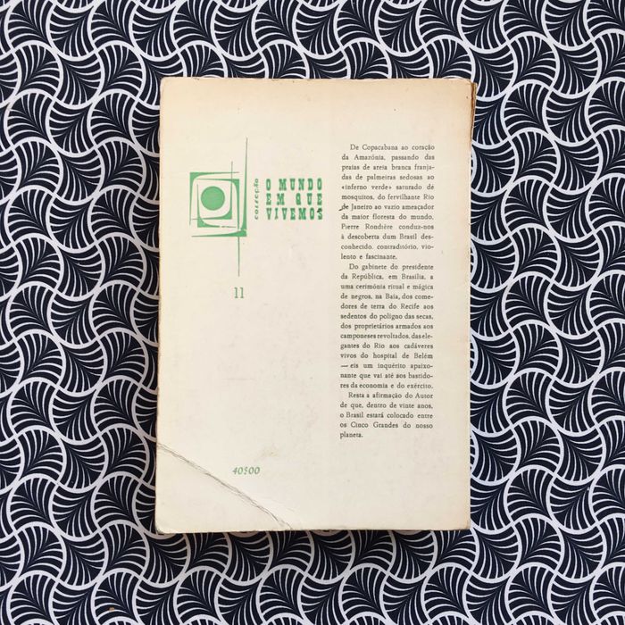 Delirante Brasil? - Pierre Rondière