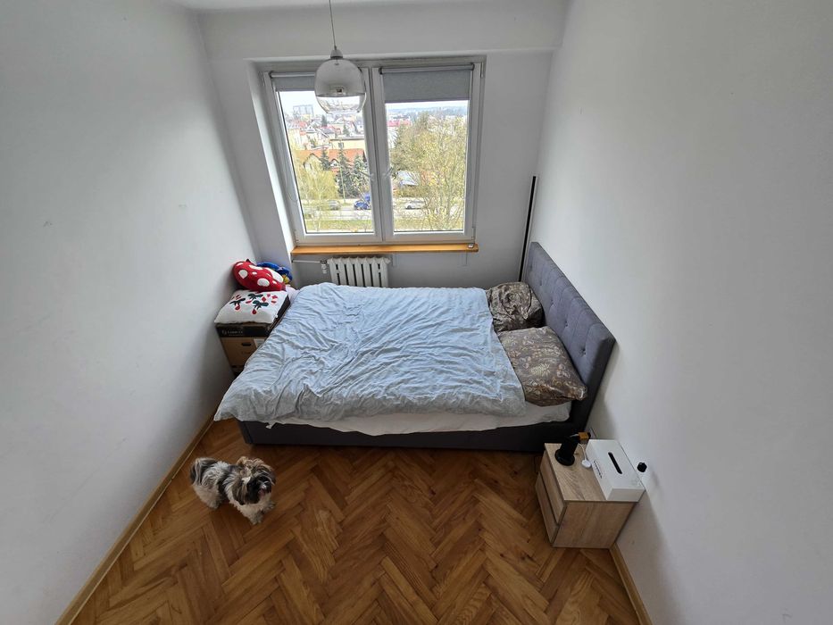 Mieszkanie – Mielec, Rynek, Stary Mielec - Widok 3