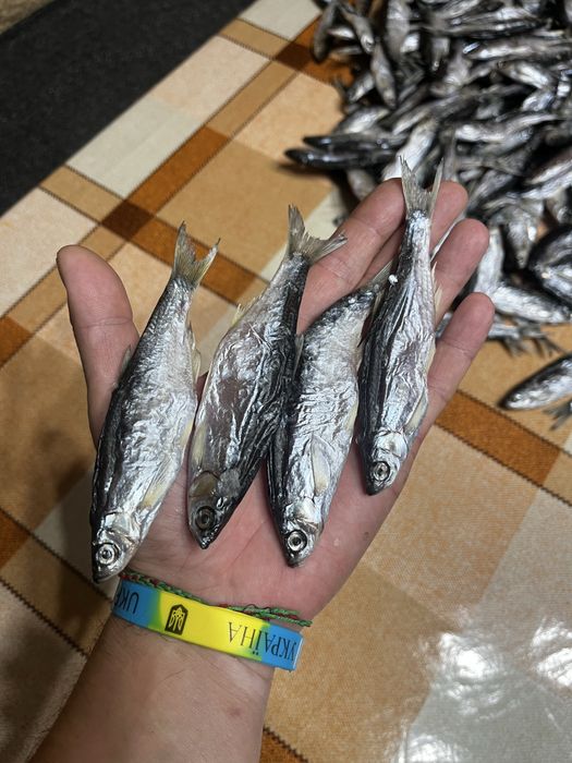 Вялена верховодка,дуже смачна