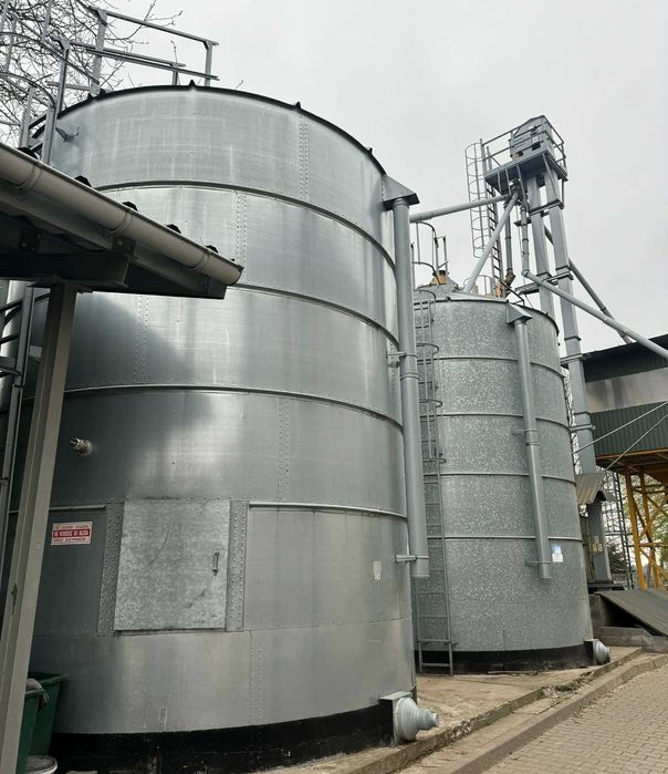 Owies ekologiczny certyfikowany – 75 ton