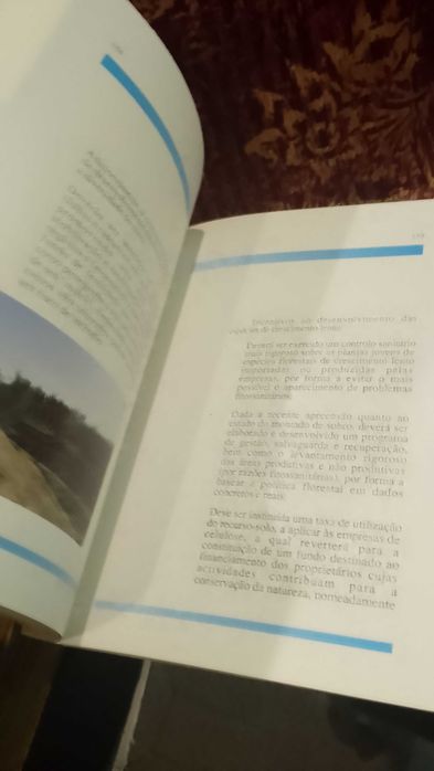 O Eucalipto em Portugal