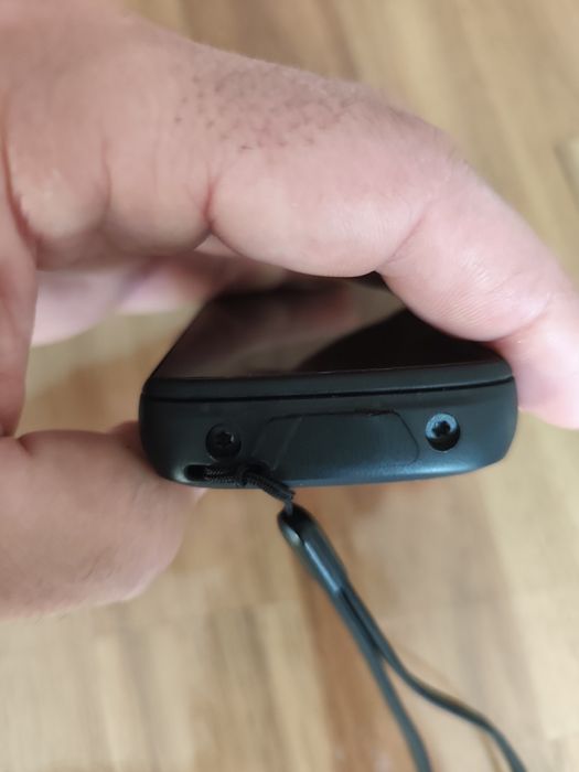 Hammerhead karoo 264585482710914123