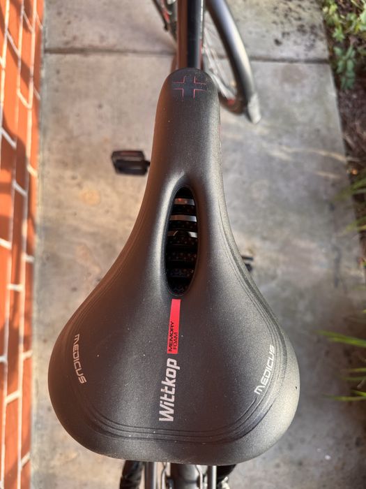 Rower elektryczny Bergamont E-line C
