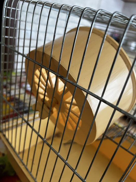 Клітка для гризунів