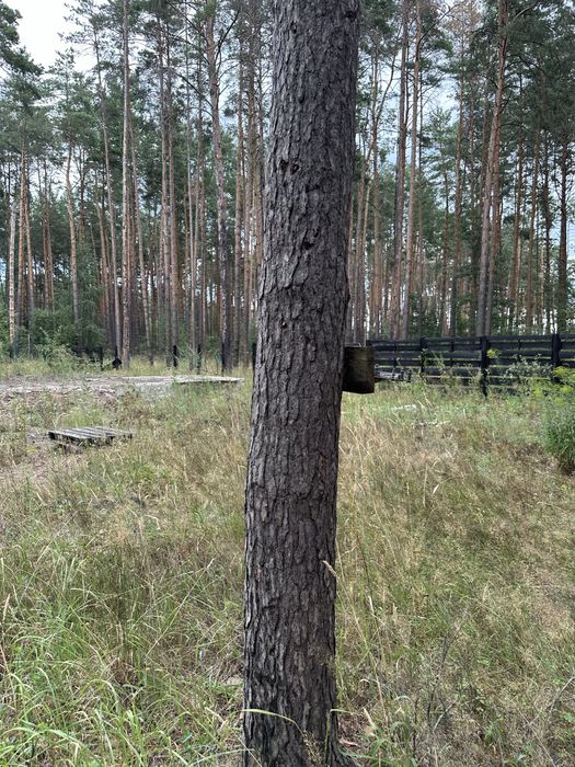 Ділянка в котеджному містечку