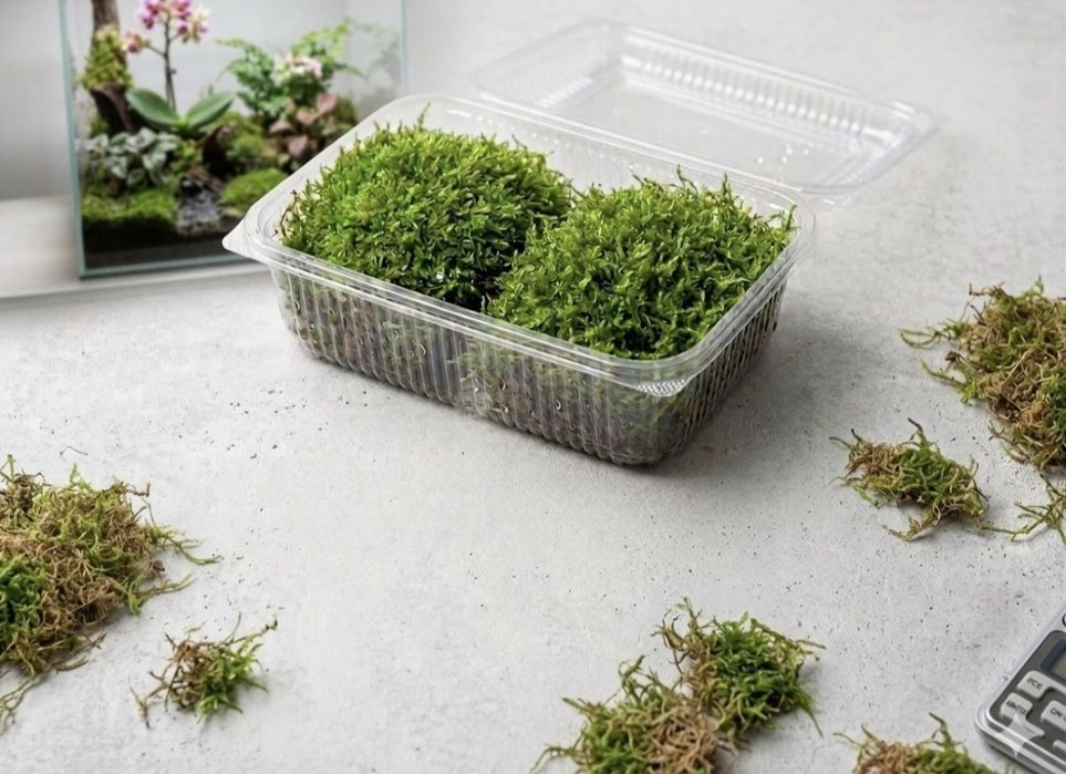 Mech do terrarium 1L 2 platy