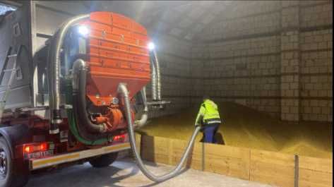 Skup zbóż, pszenicy, pszenżyta jęczmienia odbiór autem samozaładowczym