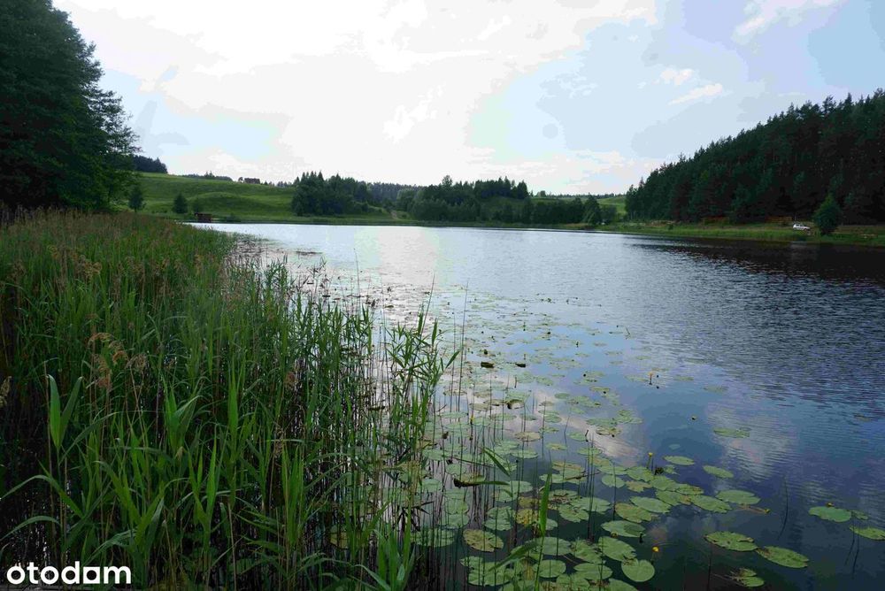 Siedlisko 7561 m², własny brzeg jeziora i las
